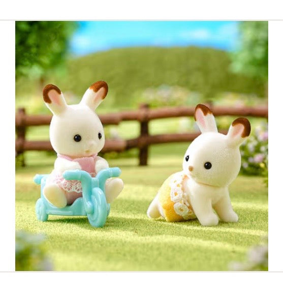 CC Chocolate Rabbit Twins