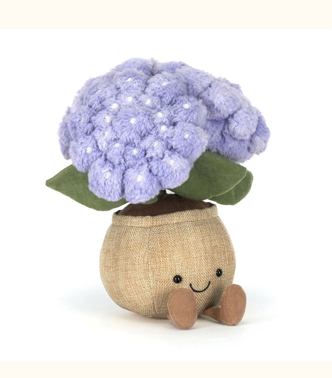 JC Hydrangea