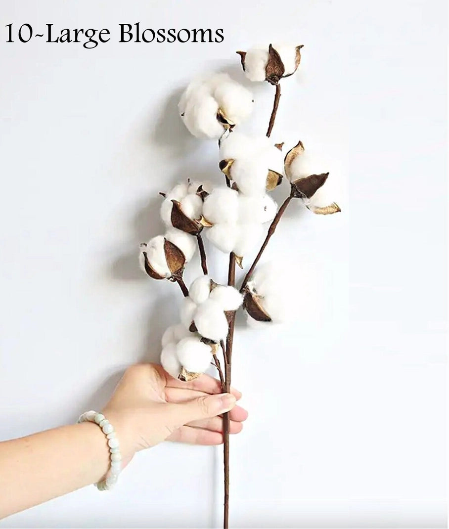 21"High Quality Cotton Stem-10 Large Cotton Blossoms