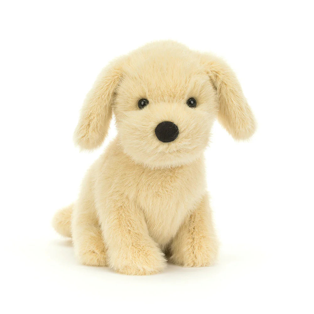 JC Golden Puppy