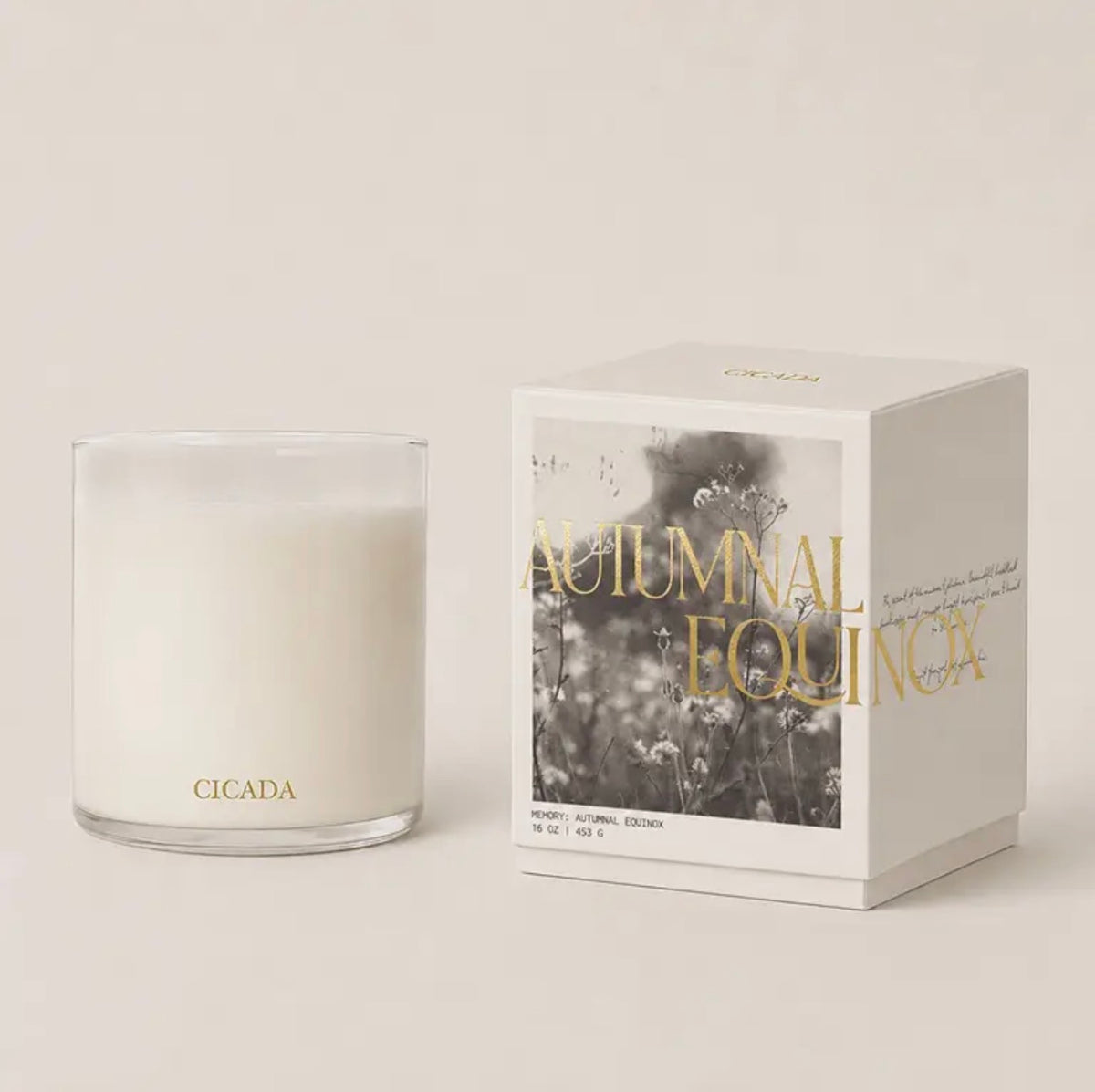 Cicada Autumnal Equinox Candle IMS