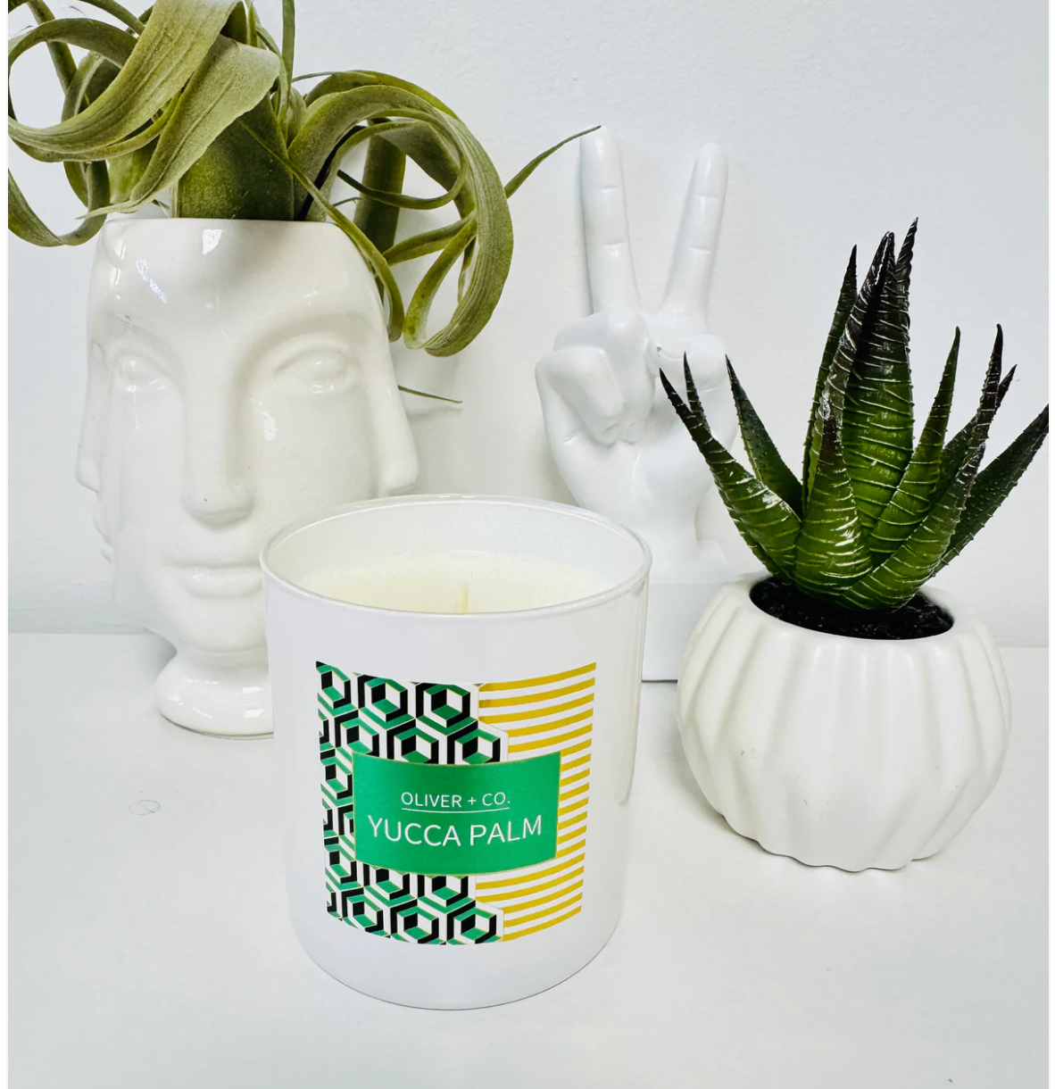 Yucca Palm Signature Candle 12oz.
