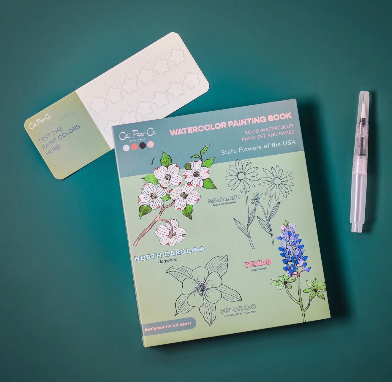 State Flowers Watercolor Painting Book - TGB