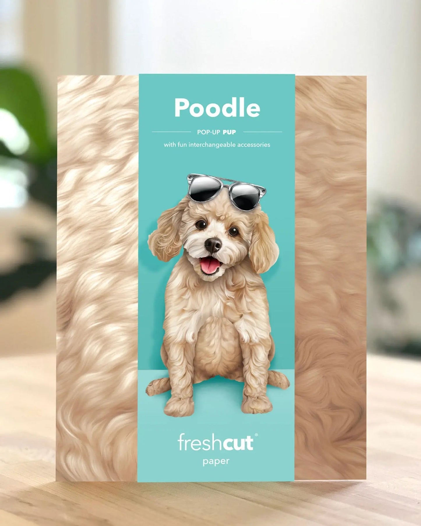 Poodle Pop-Up Card
