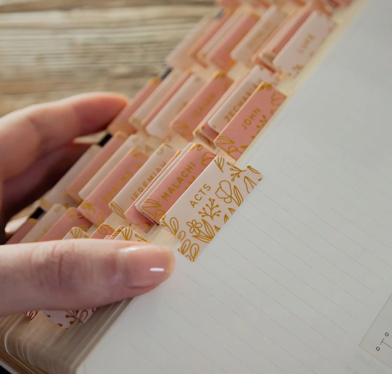 Bible Tabs - TGB