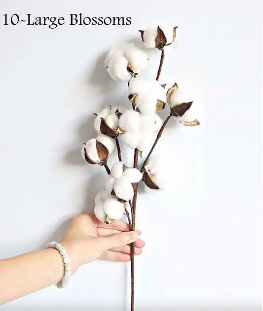 21"High Quality Cotton Stem-10 Large Cotton Blossoms