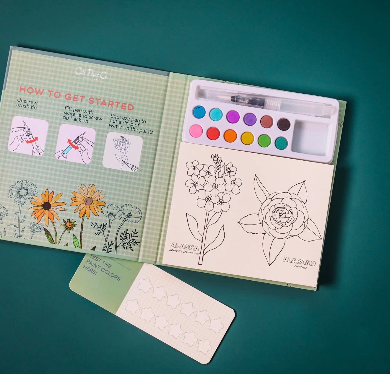 State Flowers Watercolor Painting Book - TGB