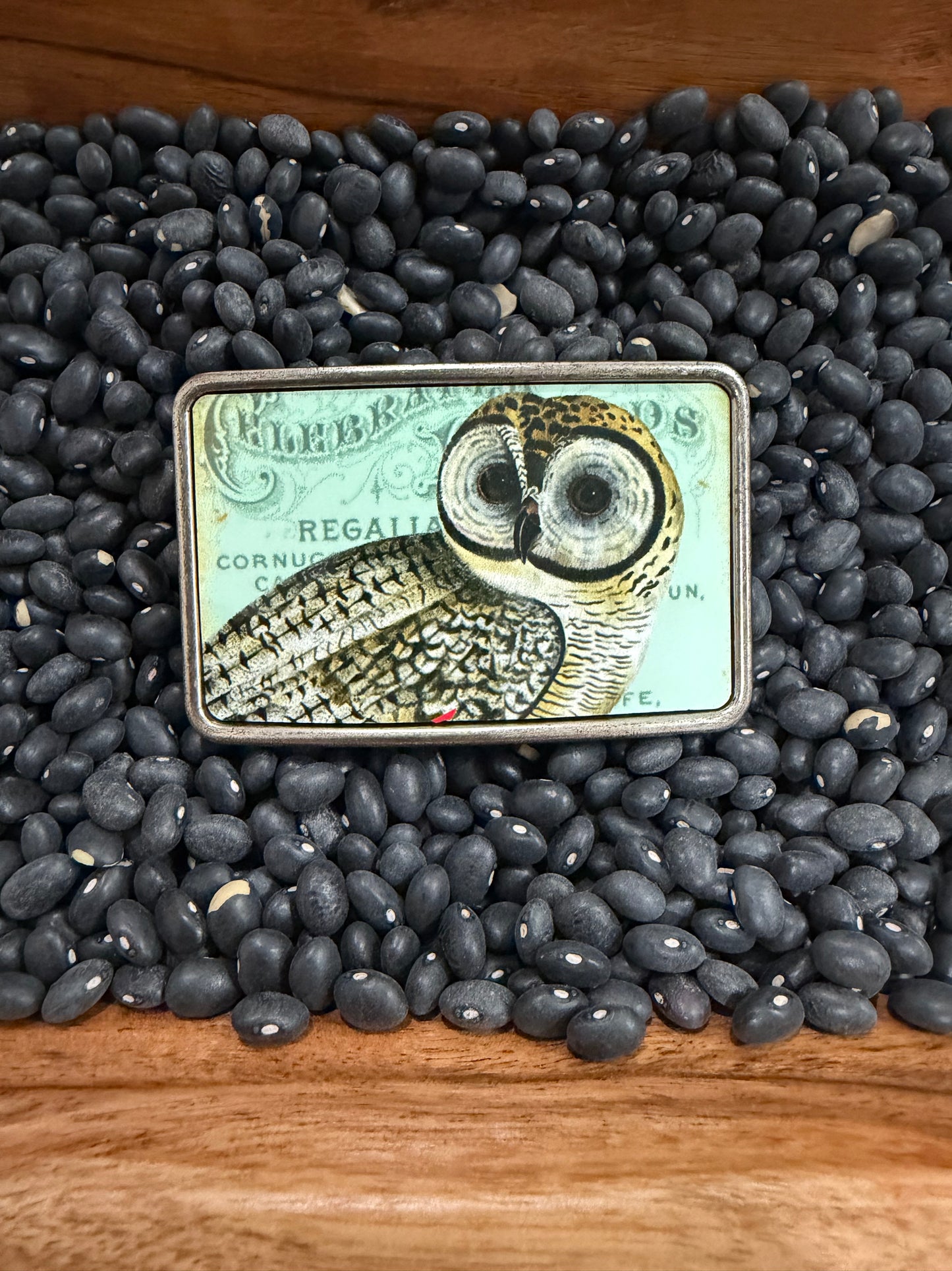 Vintage Owl Buckle-TGB