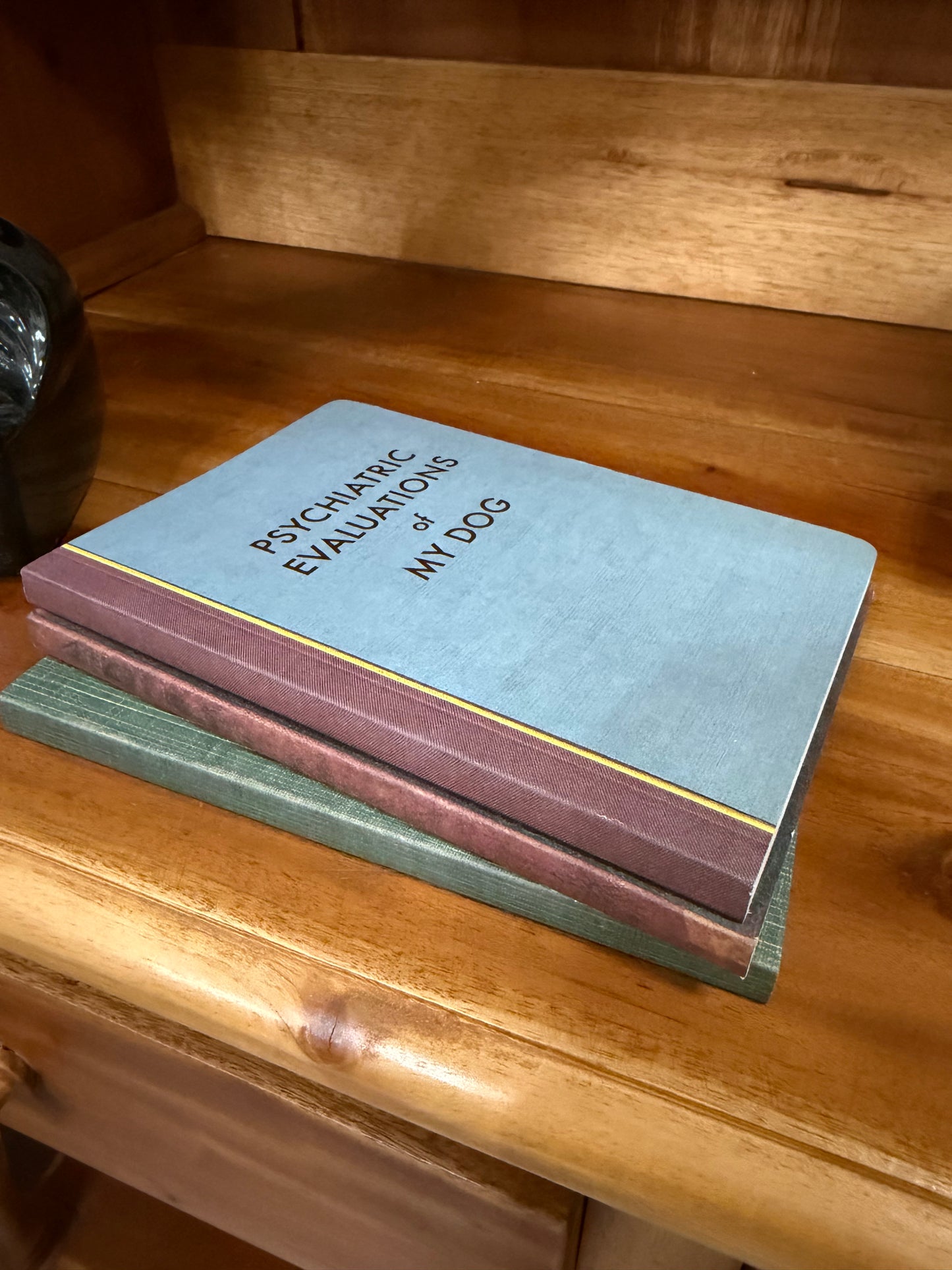 Psychiatric Evaluations of My Dog Journal- TGB