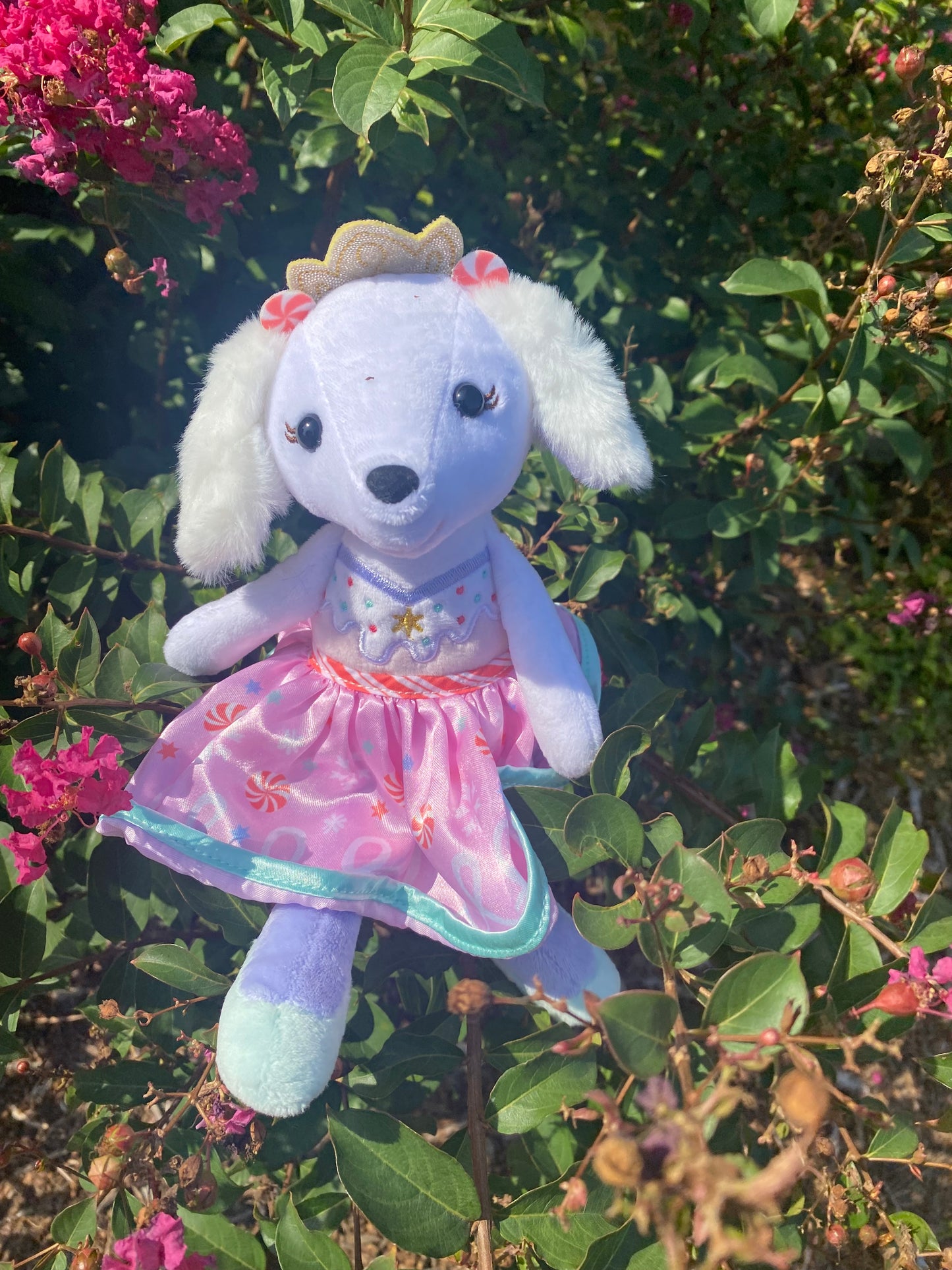 Peppermint Princess Pup