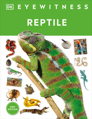 EWH Reptile