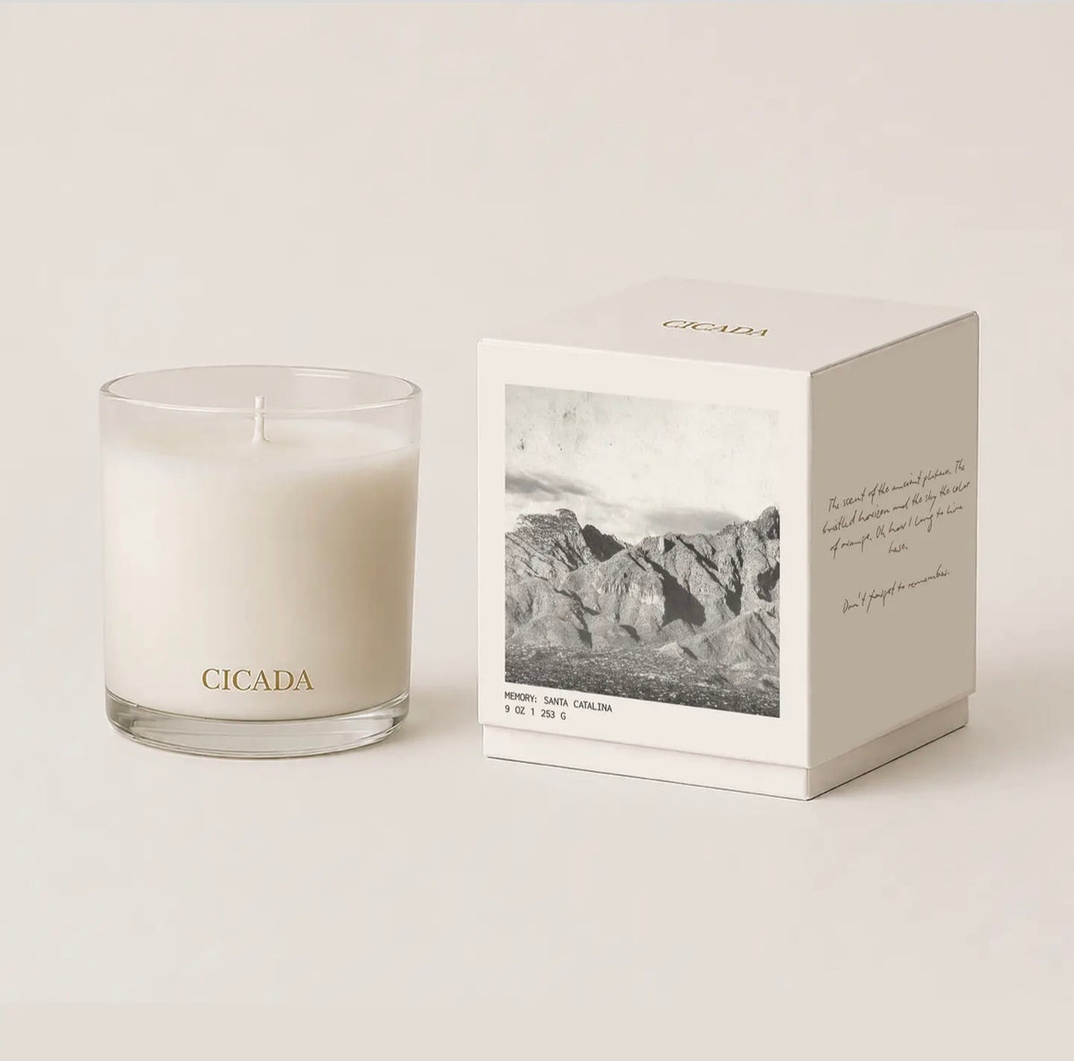 Cicada Santa Catalina Candle IMS