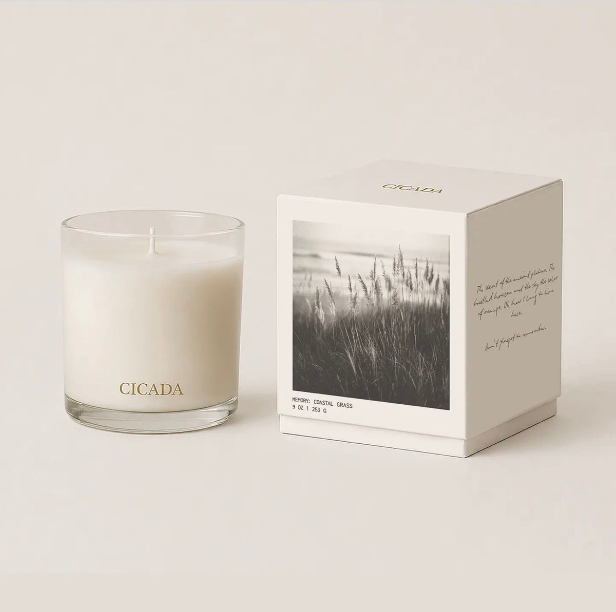 Cicada Coastal Grass Candle IMS