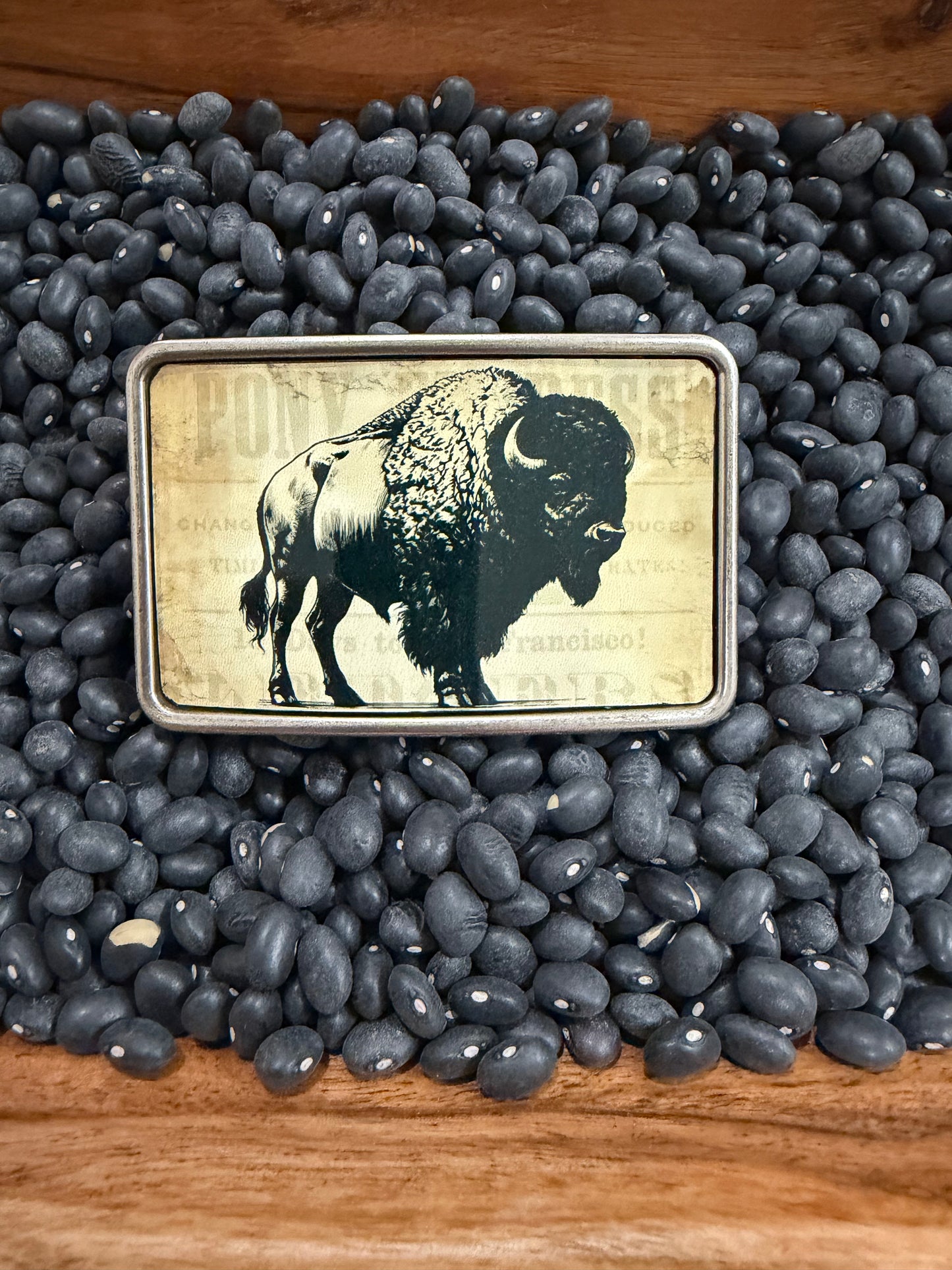 Roaming Bison Buckle-TGB
