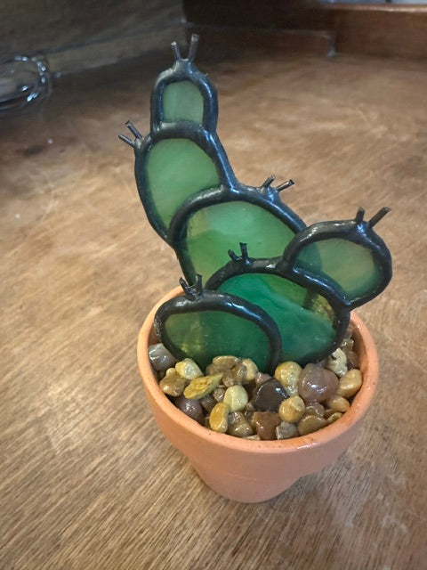 Mini Pots Prism & Petal