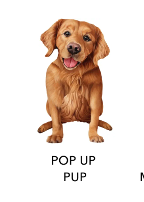 Golden Retriever Pop-Up Card