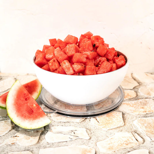 Vacuum Insulated Large Bowl  Picnic Party Ready