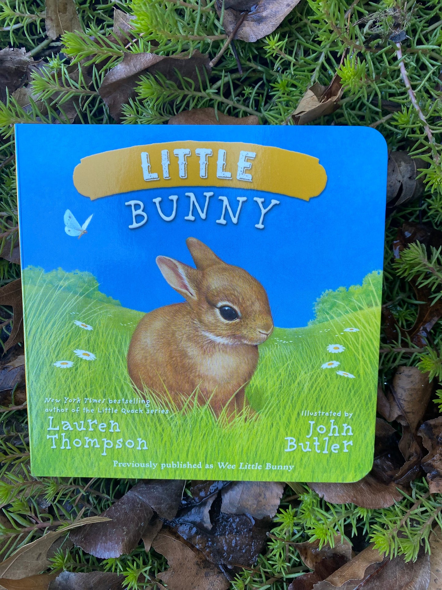 Little Bunny by Butler