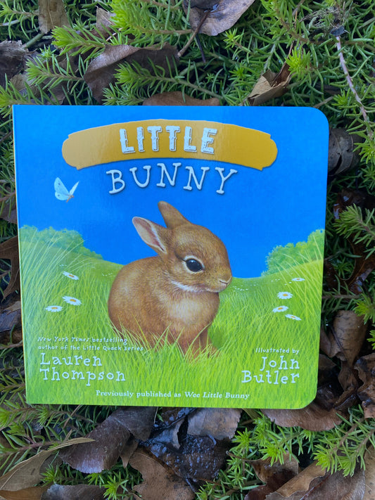 Little Bunny by Butler