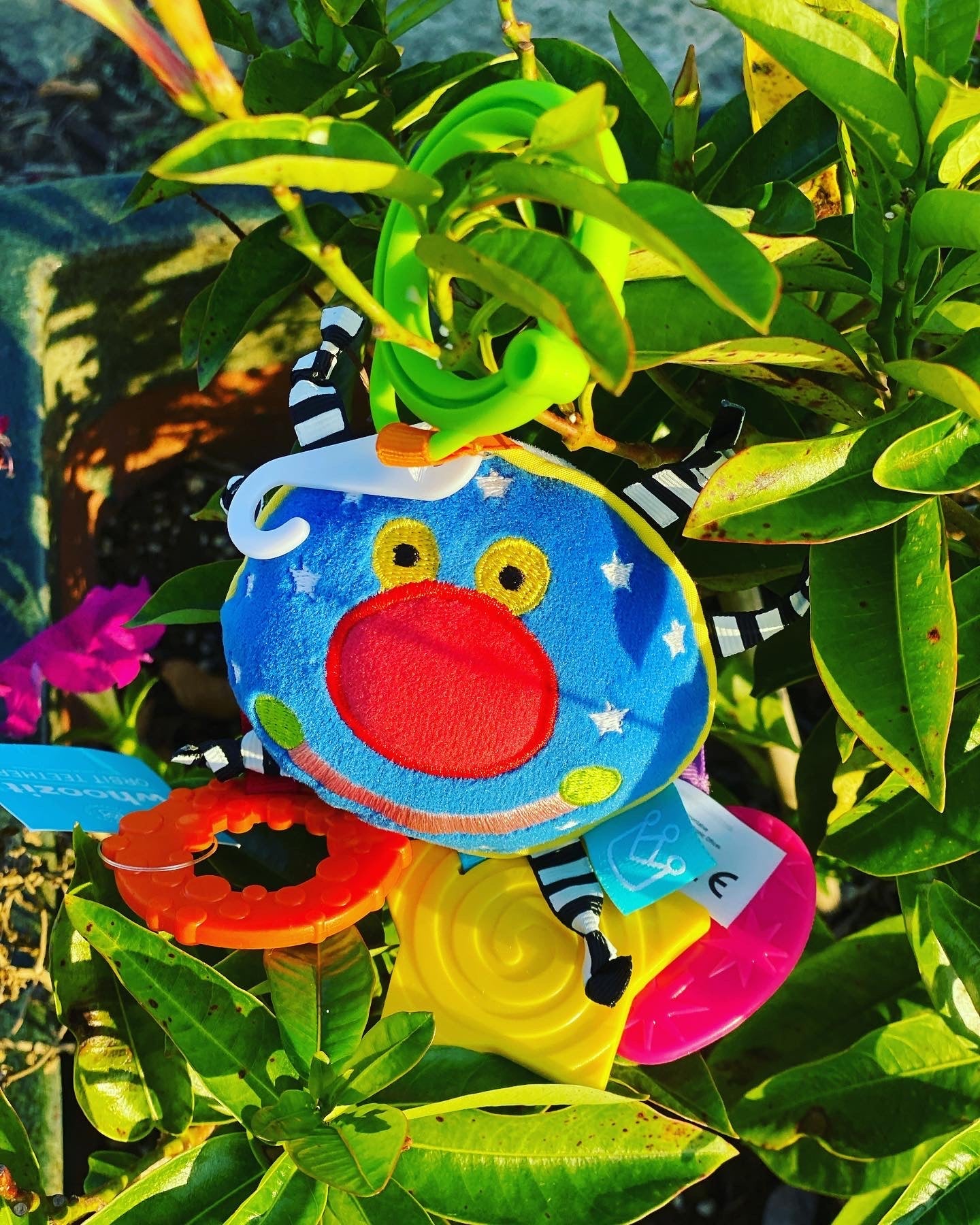 Whoozit Orbit Teether