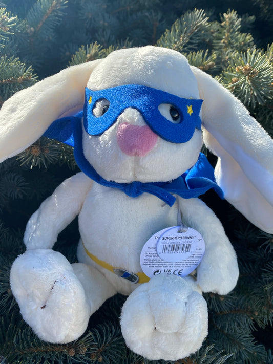 Superhero Bunny