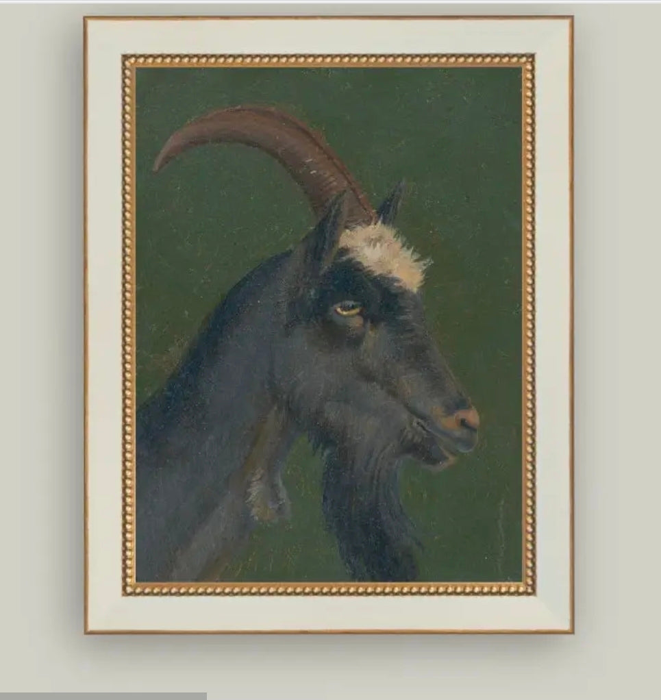 The Goat Art IMS